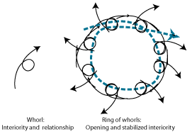 Ring of whorls